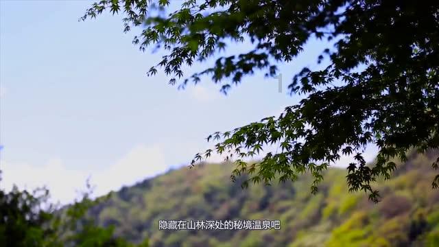 淘宝申请退款拒绝后自动关闭后钱会退到哪儿?知识星球-专业分享与互动社区